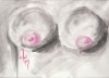 seins-aquarelle.jpg